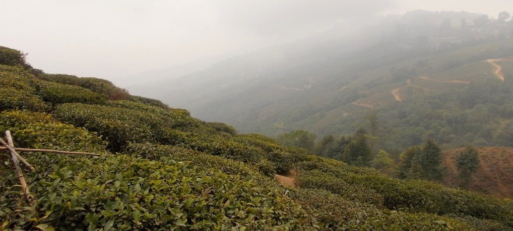 Ahh – Its Darjeeling…………