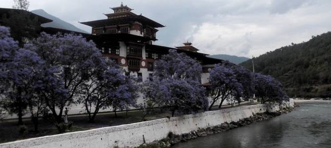 Punakha Valley – History comes alive Punakha Valley – History comes alive